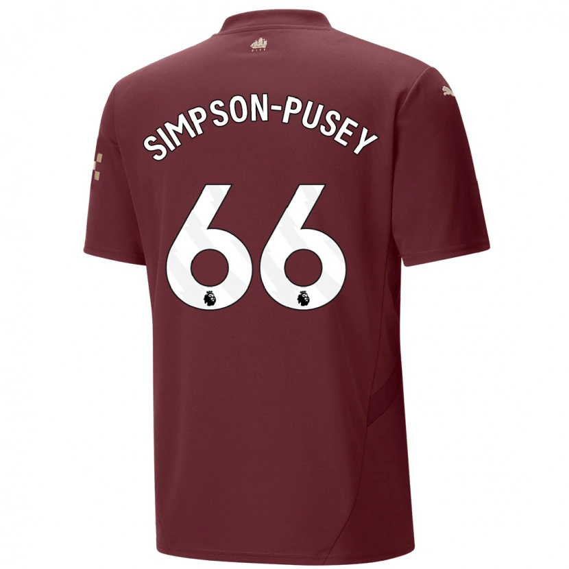 Danxen Pánské Jahmai Simpson-Pusey #66 Kaštanové Třetí Hráčské Dresy 2024/25 Dres