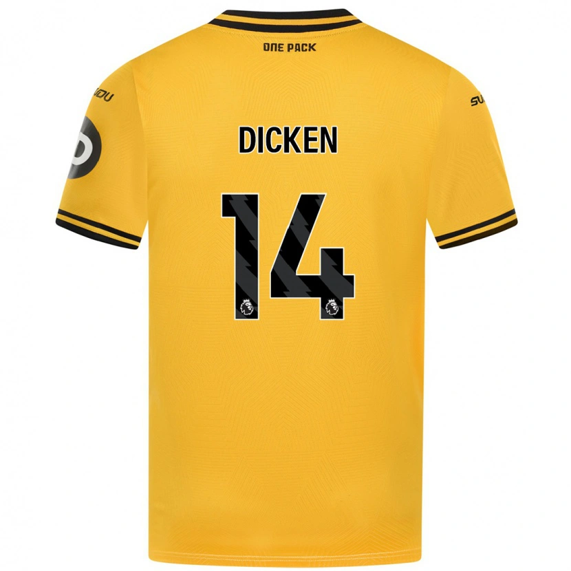 Danxen Dětské Amy Dicken #14 Žluť Domů Hráčské Dresy 2024/25 Dres