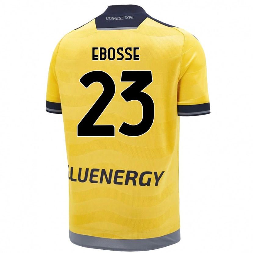 Danxen Dětské Enzo Ebosse #23 Zlatý Daleko Hráčské Dresy 2024/25 Dres