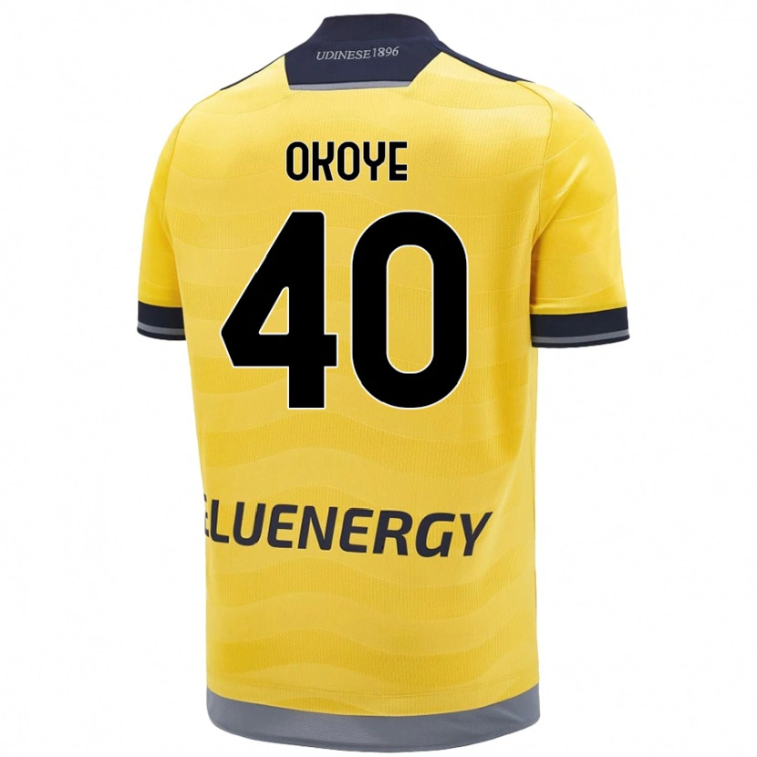 Danxen Pánské Maduka Okoye #40 Zlatý Daleko Hráčské Dresy 2024/25 Dres